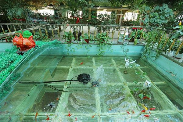 景观鱼池.jpg